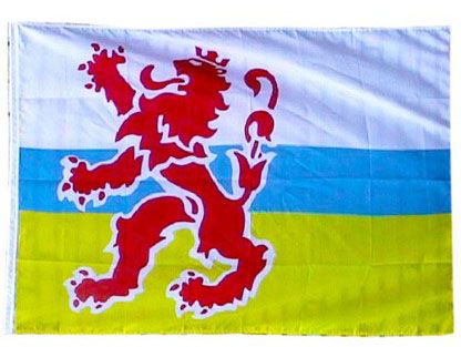 Originele Limburgse vlag met leeuw