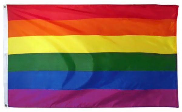 Gay Pride regenboog Vlag 90x150 cm